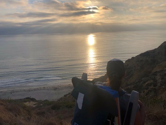 Black's Beach by null