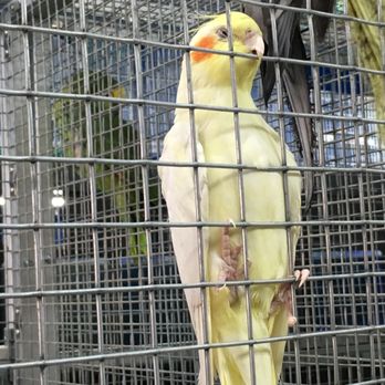 Central Pet - Pet Stores Near Me - Oshawa, Ontario Central Pet - Pet Stores Near Me - Oshawa, Ontario