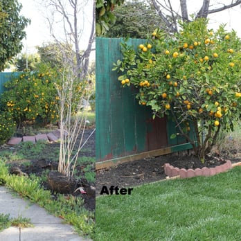 Ross Gardening Services - I had them leave the sides unfinished so I can have some fun with planting! - Landscaping Near Me