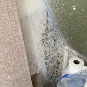 HPR Roofing and Siding - Molded sheetrock in the bathroom after a rainy season of leaks. - Roofing Near Me HPR Roofing and Siding - Molded sheetrock in the bathroom after a rainy season of leaks. - Roofing Near Me