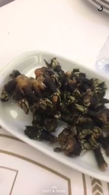 A Marisqueira do Lis by null