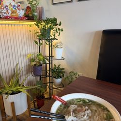 Pho Dan Restaurant - Pho Dan Special