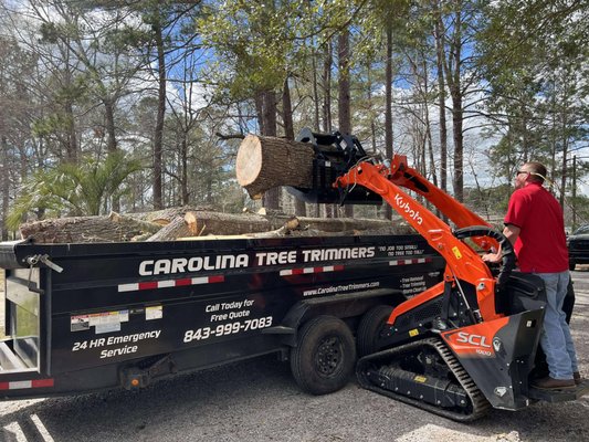 Tree Trimming + Removal - Tree trimming, removal, and more. Call us today for emergency services! Tree Trimming + Removal - Tree trimming, removal, and more. Call us today for emergency services!