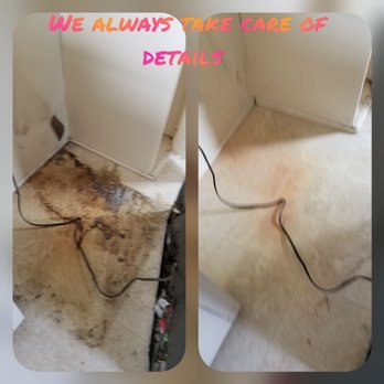 Thriveline - We always take care of details. We move all appliances to clean behind them. - Home Cleaning Near Me - Chula Vista, California Thriveline - We always take care of details. We move all appliances to clean behind them. - Home Cleaning Near Me - Chula Vista, California