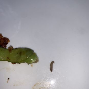 Boathouse - Worm inside edamame - Breakfast & Brunch Near Me - Stuart, Florida