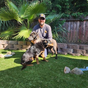 MC Pest Solutions - Pest Control Near Me - Fallbrook, California MC Pest Solutions - Pest Control Near Me - Fallbrook, California