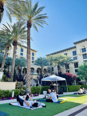The Pool at Green Valley Ranch by null