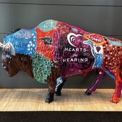 Hearts for Hearing - Hearts for Hearing Buffalo