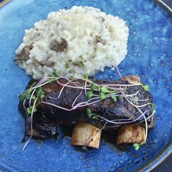 Highlands Golf Club - Bison short ribs with mushroom rissoto