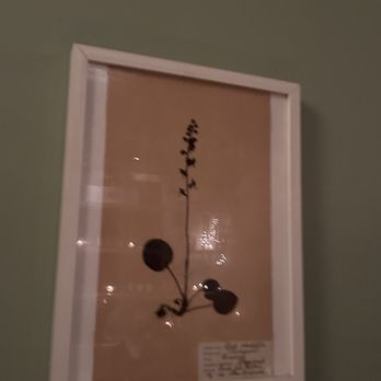 Field & Vine - New American Near Me - Somerville, Massachusetts