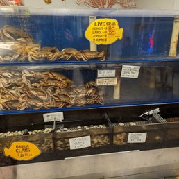 Live crab and clams Live crab and clams