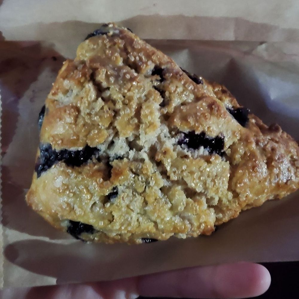Cambrian Coffee - Blueberry scone - Coffee & Tea Near Me - Houston, Texas Cambrian Coffee - Blueberry scone - Coffee & Tea Near Me - Houston, Texas