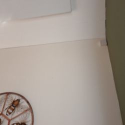 Green Pastures Nursery - The ceiling