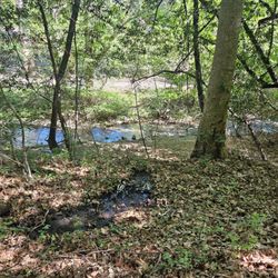 Zinfandel Trail