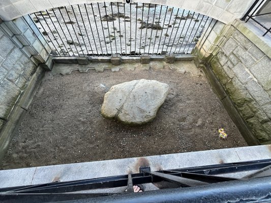 Plymouth Rock by null