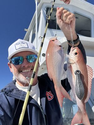 Pelican Adventures by null