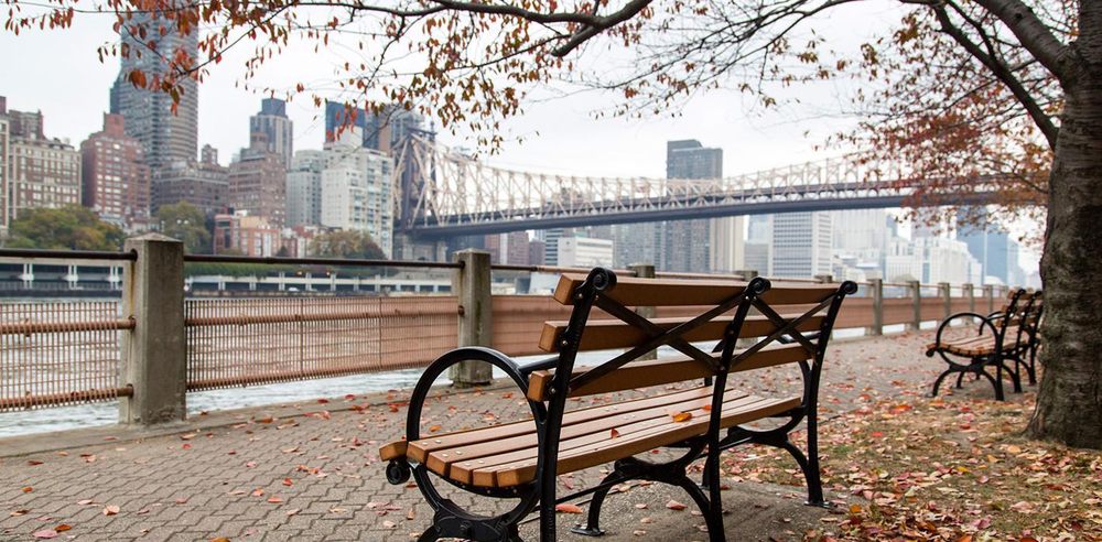 Thriving Center of Psychology - sleep specialist in New York, NY