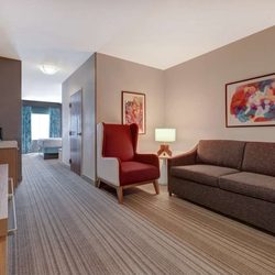 Hilton Garden Inn Tampa Northwest/Oldsmar - Guest room