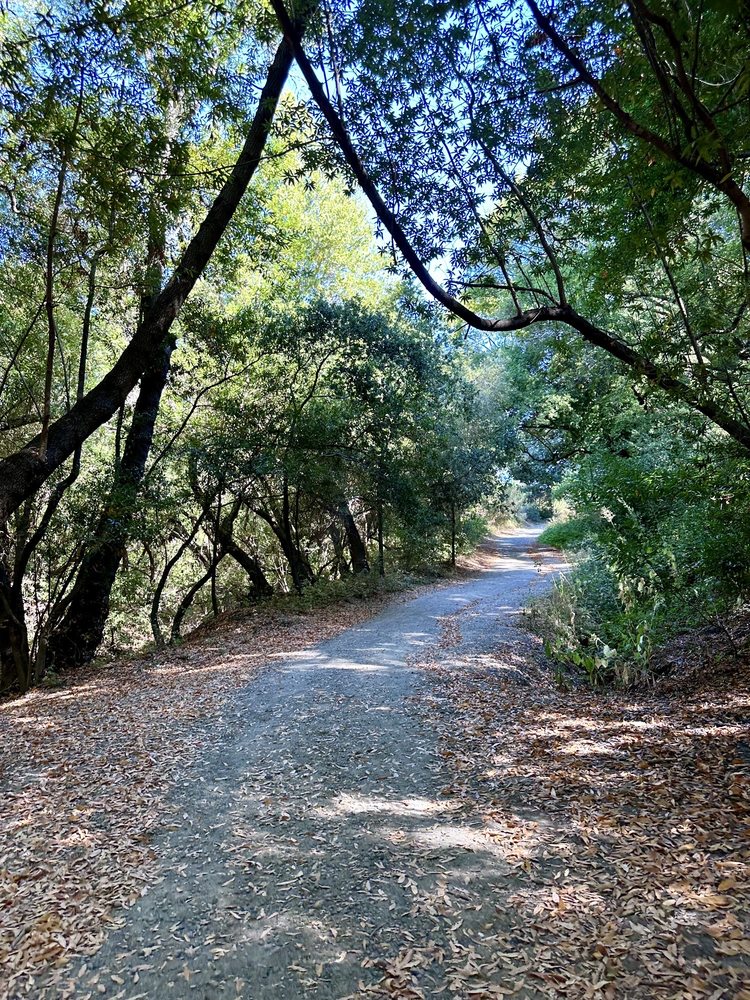 KENNEDY GROVE REGIONAL RECREATION AREA Updated September 2024 176