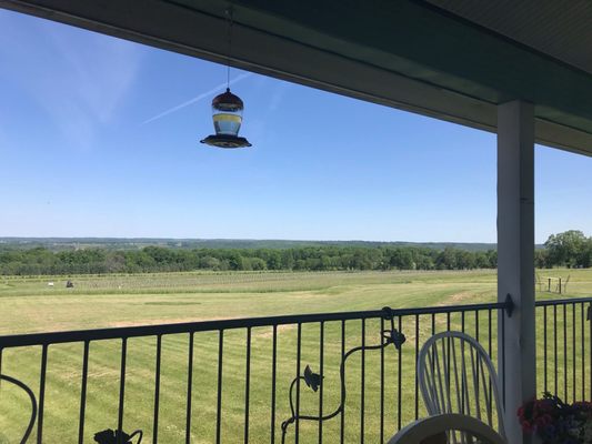 Hunt Country Vineyards by null