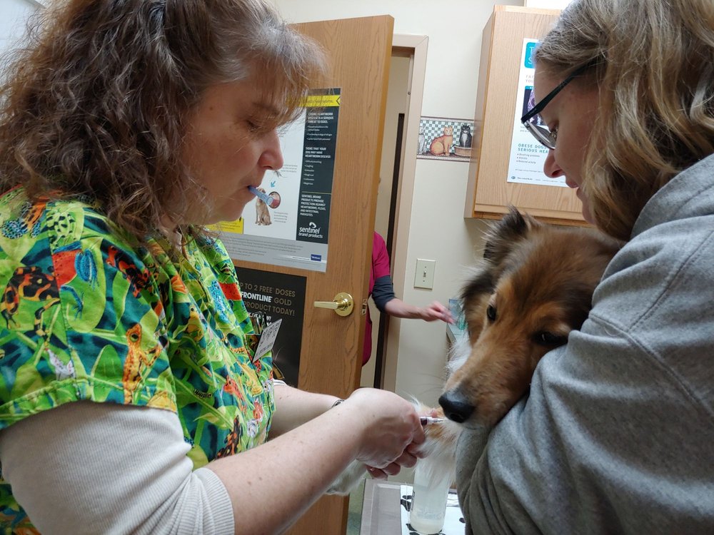 POWELL VETERINARY CLINIC 465 N Liberty St, Powell, Ohio Veterinarians Phone Number Yelp