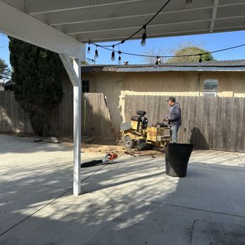 Sea West Tree Service - Stump grinding - Tree Services Near Me Sea West Tree Service - Stump grinding - Tree Services Near Me