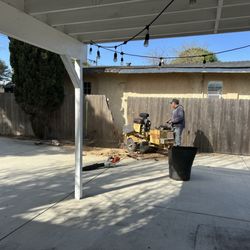 Sea West Tree Service  - Stump grinding