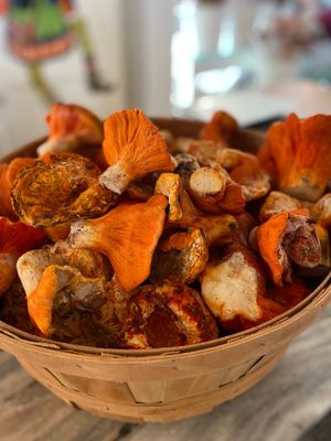 Wellspent Market by null