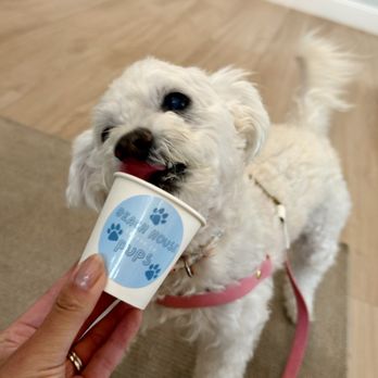 Beach House Coffee - Bakeries Near Me - Tampa, Florida