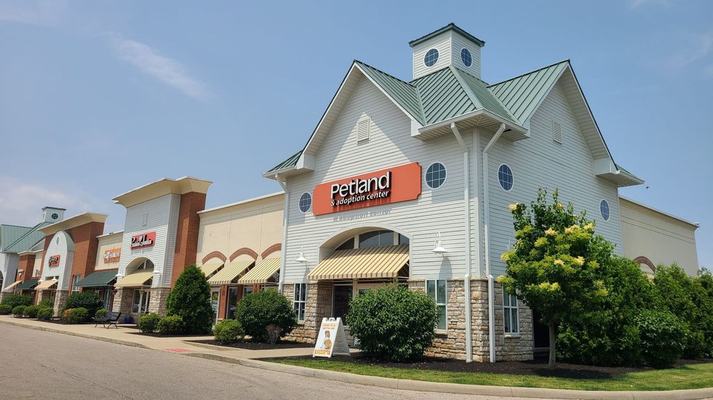 PETLAND GROVE CITY Updated September 2024 14 Photos & 14 Reviews