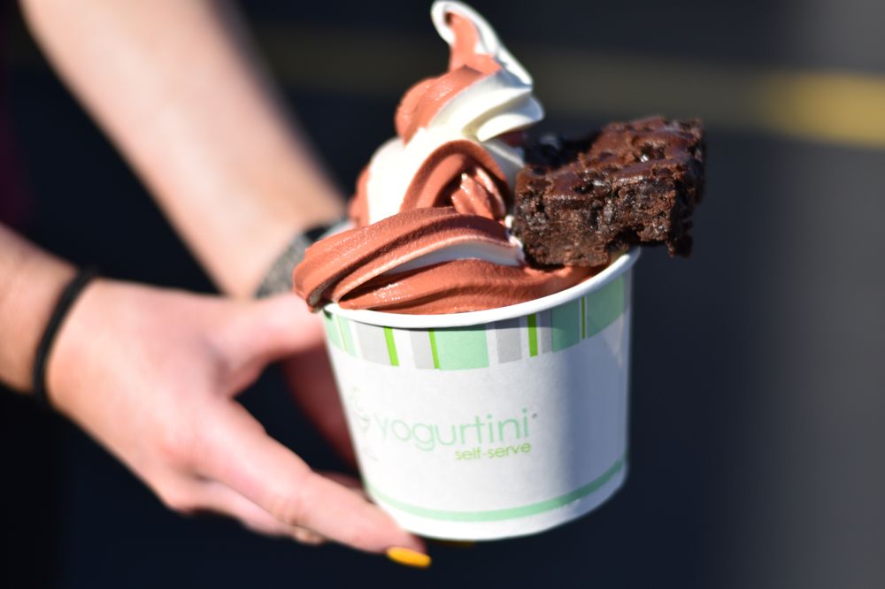 YOGURTINI RMCF SCOTTSDALE 80 Photos & 87 Reviews 13610 N