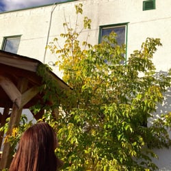 Bruce Hotel