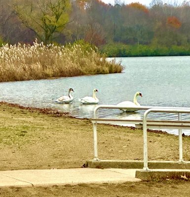 Potato Creek State Park by null