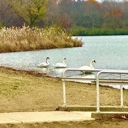 Potato Creek State Park