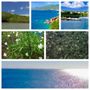 Photo of Flamingo Bay