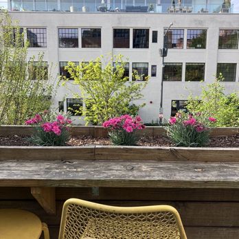 Colada Shop - Coffee & Tea Near Me - Washington, DC, District of Columbia