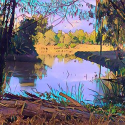 Duck Pond Park - Duck Pond Park