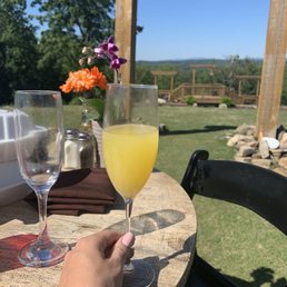 Mimosa!
