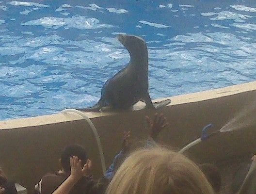 Miami Seaquarium by null