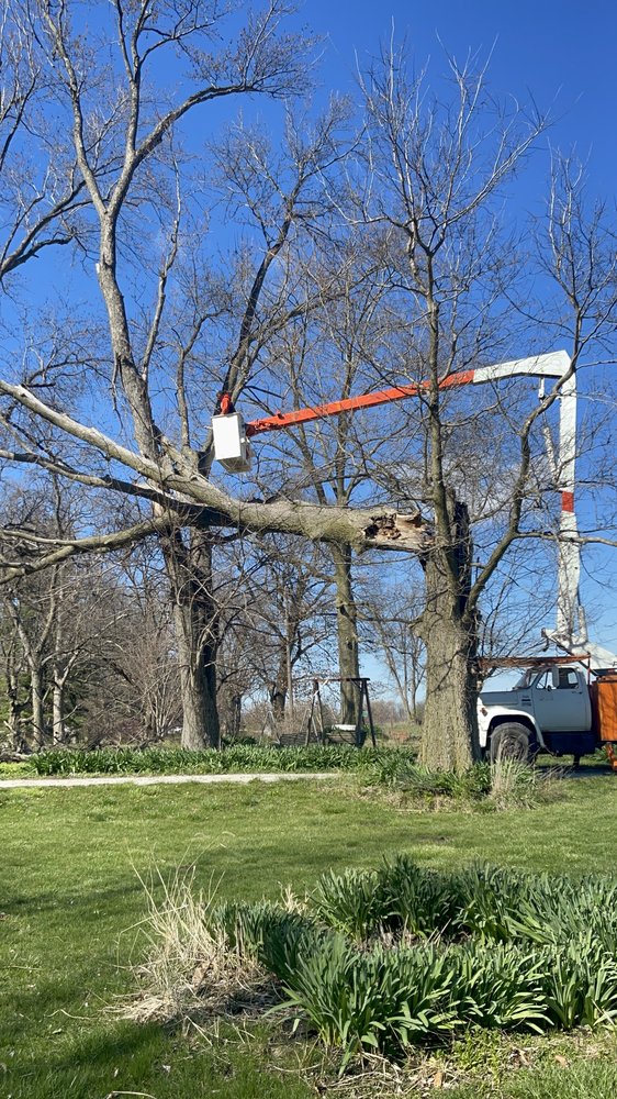 Kunz & Son Tree Service - tree service in Rochester, IL