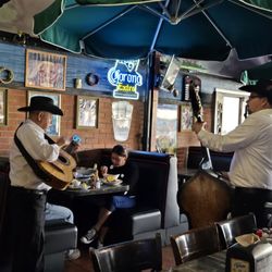 Live musicians