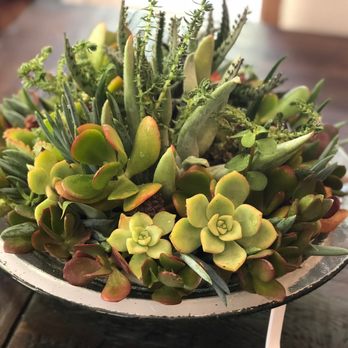 The Artsy Plant - Custom Circular Piece - Floral Designers Near Me The Artsy Plant - Custom Circular Piece - Floral Designers Near Me