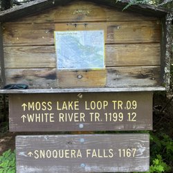 Signage
