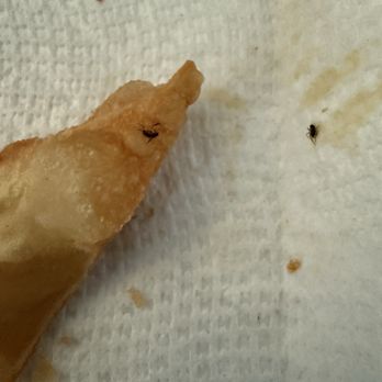 New Star Restaurant - The bugs that were in my crab rangoon. - Chinese Near Me - Elmwood Park, Illinois New Star Restaurant - The bugs that were in my crab rangoon. - Chinese Near Me - Elmwood Park, Illinois