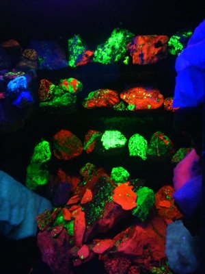 Electric Ladyland - Museum of Fluorescent Art by null