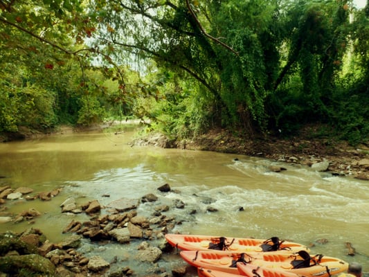 Bayou City Adventures by null