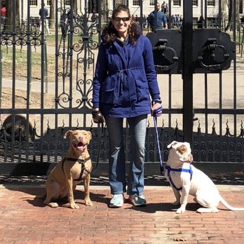 The Canine Cure - MJ with her two rescue Pit Bulls, Sierra and Bowser - Pet Training Near Me The Canine Cure - MJ with her two rescue Pit Bulls, Sierra and Bowser - Pet Training Near Me