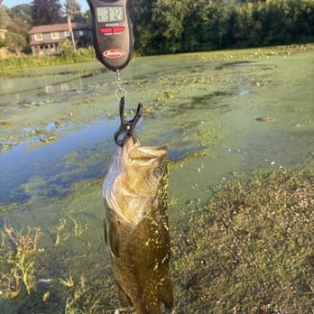 Fish Lake Park - I come here when all my other fishing spots isn't hitting, this lake don't disappoint. Cuz I ain't getting SKUNKED!!! - Parks Near Me Fish Lake Park - I come here when all my other fishing spots isn't hitting, this lake don't disappoint. Cuz I ain't getting SKUNKED!!! - Parks Near Me