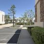 Photo of L&P Tree Service