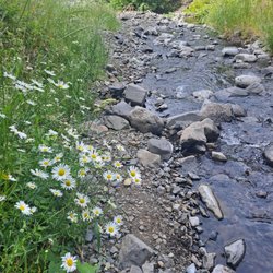 Wyeth Campground - Creek that runs just east of the campground